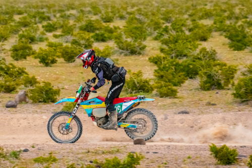 Legacy Frontier 500 (2024)799 - Blake DominguezIronman Amateur Class