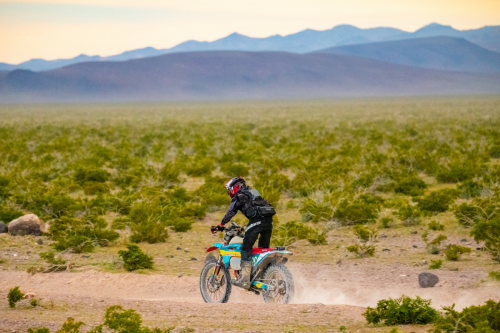 Legacy Frontier 500 (2024)799 - Blake DominguezIronman Amateur Class