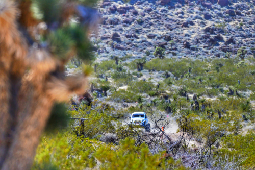 The Mint 400 (2024)5/1600 race