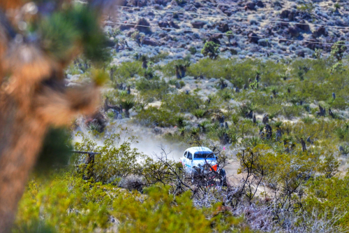 The Mint 400 (2024)5/1600 race