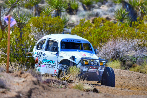 The Mint 400 (2024)5/1600 race
