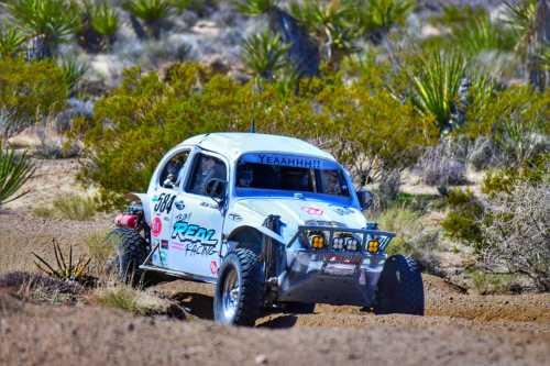 The Mint 400 (2024)5/1600 race