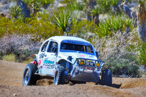 The Mint 400 (2024)5/1600 race