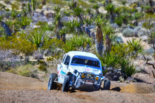 The Mint 400 (2024)5/1600 race