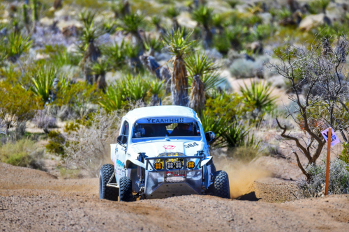 The Mint 400 (2024)5/1600 race