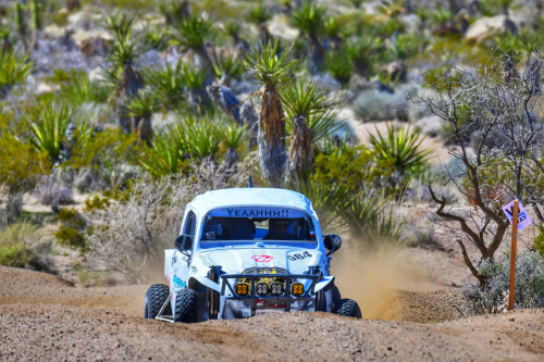 The Mint 400 (2024)5/1600 race