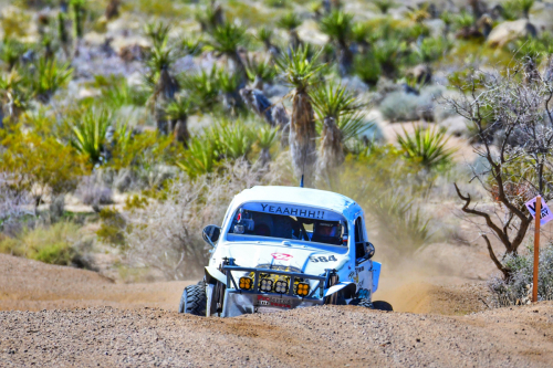 The Mint 400 (2024)5/1600 race