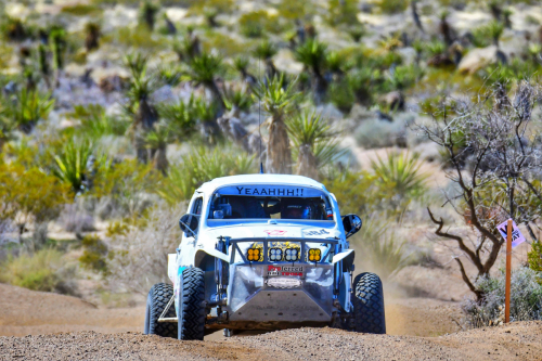 The Mint 400 (2024)5/1600 race