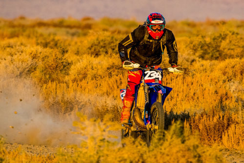 Legacy Goldrush (2023)