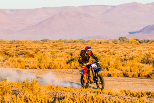 Legacy Goldrush (2023)