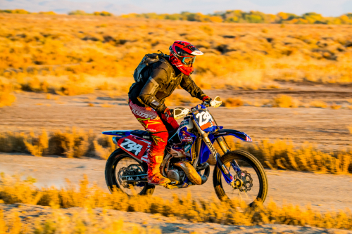 Legacy Goldrush (2023)