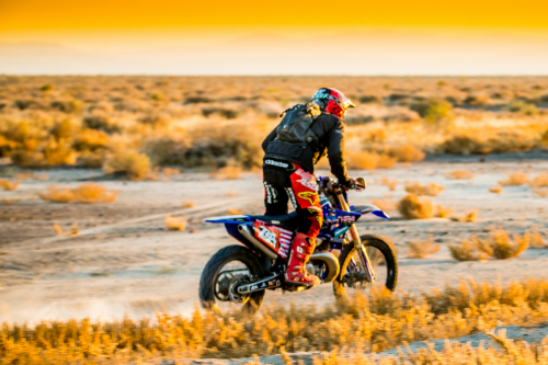 Legacy Goldrush (2023)