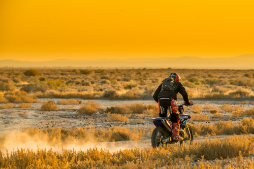 Legacy Goldrush (2023)