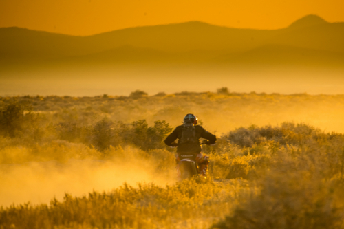 Legacy Goldrush (2023)