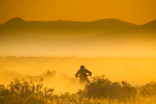 Legacy Goldrush (2023)